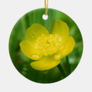 Pesquisar por flor do campo ornamentos Para ela
