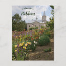 Pesquisar por árvore espiritual cartoes postais Árvores