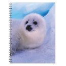 Pesquisar por da harpa cadernos de notas Fusca