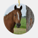 Pesquisar por cavalo marrom ornamentos Animal