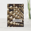 Pesquisar por organização cartoes postais Para ela