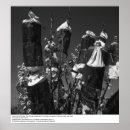 Pesquisar por polinização pôsteres pósteres Plantas