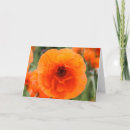 Pesquisar por mães laranja cartoes Flores silvestres
