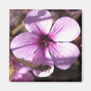 Pesquisar por para o jardineiro imas Fotografia