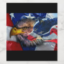 Pesquisar por águias armazenamento alimentos Águia careca