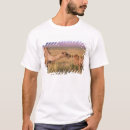 Pesquisar por natureza do nascer sol masculinas camisetas Amanhecer