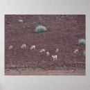 Pesquisar por food pôsteres pósteres Para ela