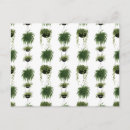 Pesquisar por pendurado cartoes postais Verde