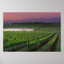 Pesquisar por distante pôsteres pósteres Natureza