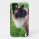 Pesquisar por ragdoll iphone capas Gatinho