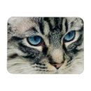 Pesquisar por caras imas Fotografia