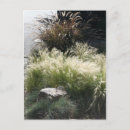 Pesquisar por ornamental cartoes postais Para eles