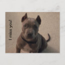 Pesquisar por tristeza cartoes postais Cãozinho