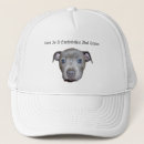 Pesquisar por bull terrier bones Cachorro
