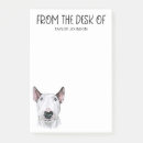 Pesquisar por amante de bull terrier Qualquer pessoa