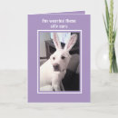 Pesquisar por humor pascoa cartoes Ovo