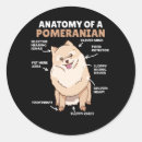 Pesquisar por pomeranian adesivos Cães