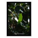 Pesquisar por eco cartoes postais Planeta