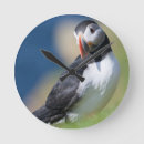 Pesquisar por produção relogios de parede Animal