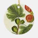 Pesquisar por erval ornamentos Fl 1757 82