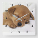 Pesquisar por capoeira relogios de parede Para todos