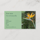Pesquisar por decoração floral cartao de visita Branco