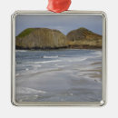 Pesquisar por wild ornamentos Paisagem