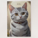 Pesquisar por olho de gato Para pets