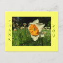 Pesquisar por danke cartoes postais Obrigados