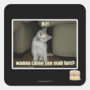 Pesquisar por mah adesivos Eu posso ter cheezburger