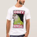 Pesquisar por papagaio camisetas Batuque