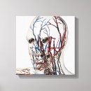 Pesquisar por corpo humano impressão de canvas Complexidade