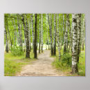 Pesquisar por passarinho pósteres Floresta