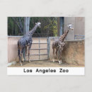 Pesquisar por girafa cartoes postais Fofofo