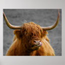 Pesquisar por cabana pôsteres pósteres Impressão