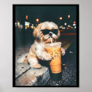 Pesquisar por shih tzu pôsteres pósteres Engraçado