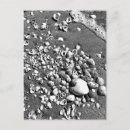 Pesquisar por seashells cartoes postais Oceano