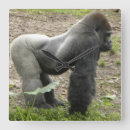 Pesquisar por primatas relogios de parede Gorila