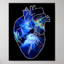 Pesquisar por anatomia pósteres Coração