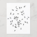 Pesquisar por equipa cartoes postais Preto