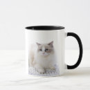 Pesquisar por gato ragdoll canecas Felino