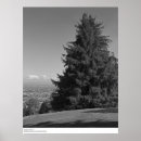 Pesquisar por santa cruz pôsteres pósteres California