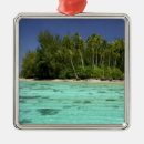 Pesquisar por sociedade ornamentos Turismo