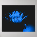 Pesquisar por flor lótus pôsteres pósteres Azul