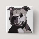 Pesquisar por meu pitbull botons Para todos