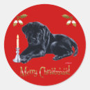 Pesquisar por labrador retriever adesivos Feriado