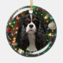 Pesquisar por cavalier ornamentos Blenheim