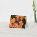 Pesquisar por gerbera cartoes Daisies