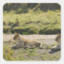 Pesquisar por comprimento completo adesivos Animal