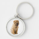 Pesquisar por shar pei chinês chaveiros Cachorro